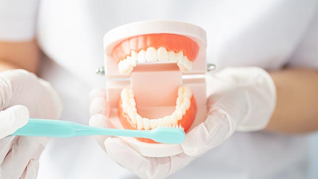 歯医者さんで行う歯科検診って実際に何をするの？
