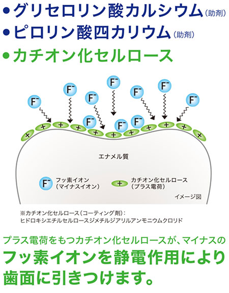 独自のフッ素高滞留処方